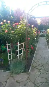 La Fleur - 46