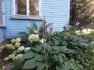 Кылдысин - 7