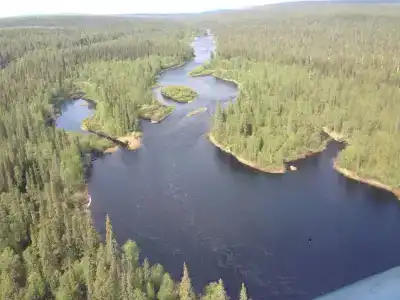 Фаворит - 1