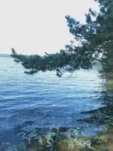 Озеро Великое - 26