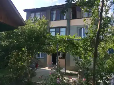 Амир - 38