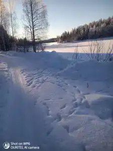 Куйтто - 1