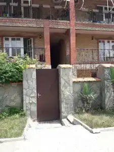 Сосновый бор - 4