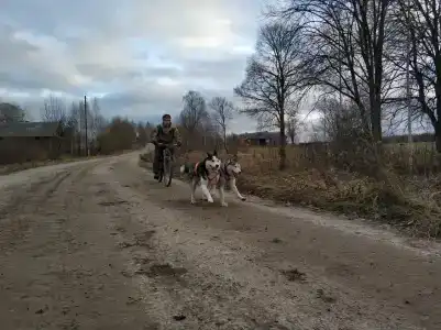 Северная надежда - 38