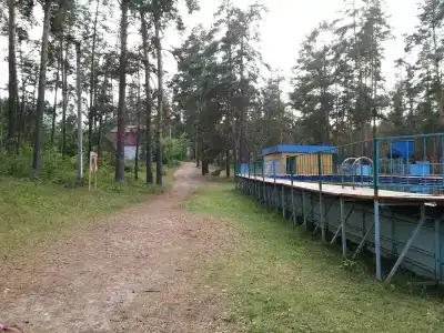 Сура - 43