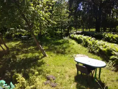 Отрадное - 11