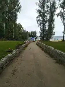 Берёзка - 39