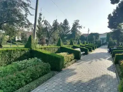 Великовечное - 29