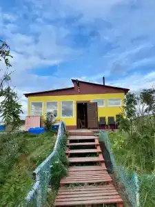 Мистер Ристи - 0