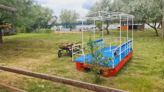 Розовый Фламинго - 12