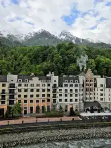 Голден Тюлип - 78