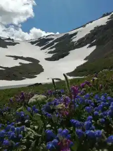 Замульта кемп - 44