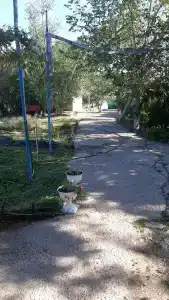 Волга - 10