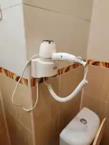 Беловежская пуща. №2 - 74