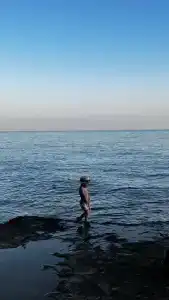 Сосновый берег - 89