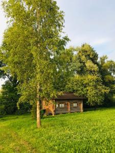 Деревенька - 31