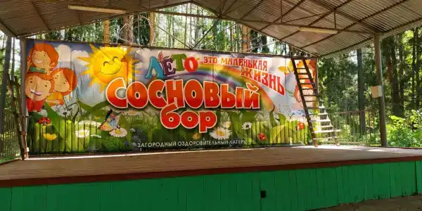Сосновый бор - 0