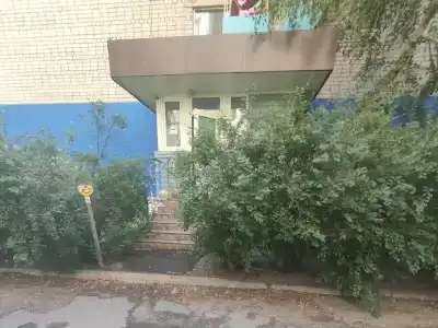 Нимфа - 6