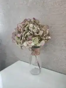 Ясный - 5