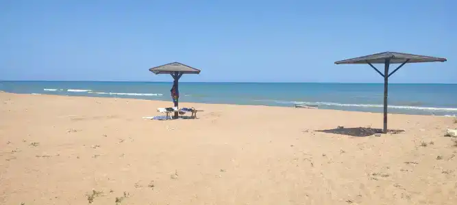 Золотые Пески - 60