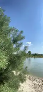 Песчаный берег - 1
