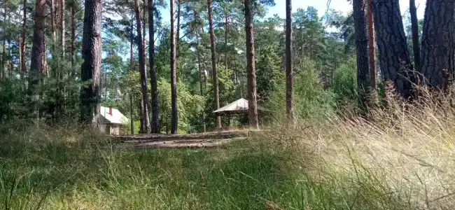 Ранчо - 22