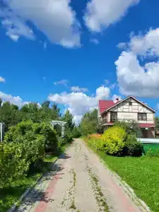 Тихие зори - 0