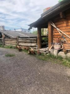 Владимирский край - 45