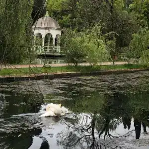 Водопад - 31
