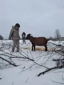 Экоферма и кемпинг Кузнечиха - 42