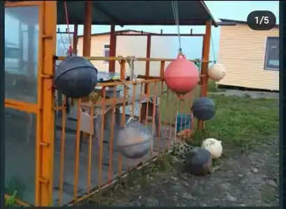 Зубарь - 12