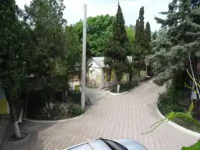 Амир - 5