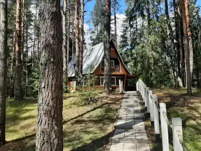 Аврора - 0