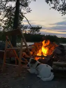 Saari - 6
