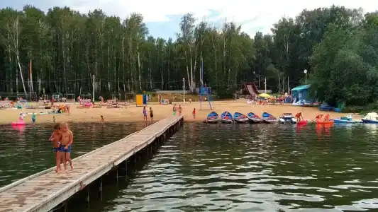 Берёзка - 8