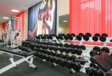 Граф Толстой - 59