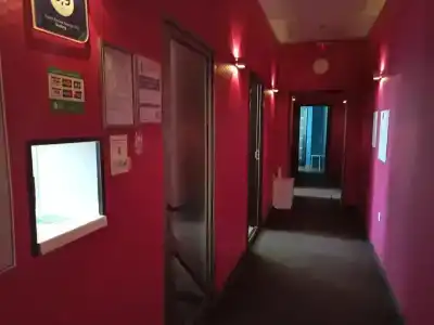 Сова - 6