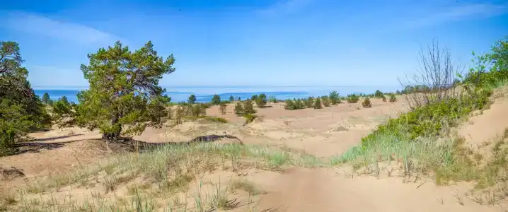 Туулос - 14