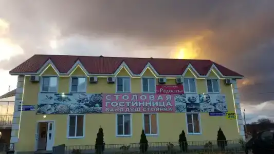 Радость - 20