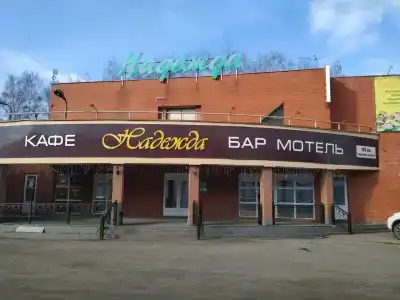 Надежда - 25
