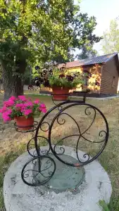 Приокские Зори - 54