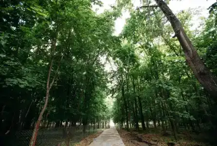 Школа здоровья - 28