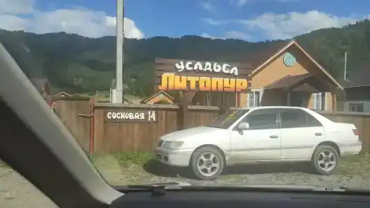 Литопур - 11
