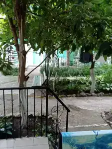 Зеленый дворик - 10