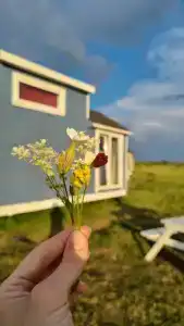 BigWaveCamp - 48