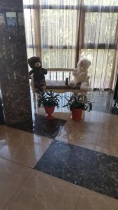 Маракеш Голд - 90