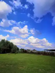 Губерния - 5