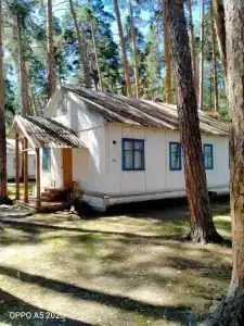 Чайка - 4