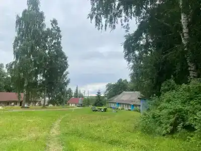 Вектор - 14