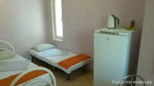 Аир - 11